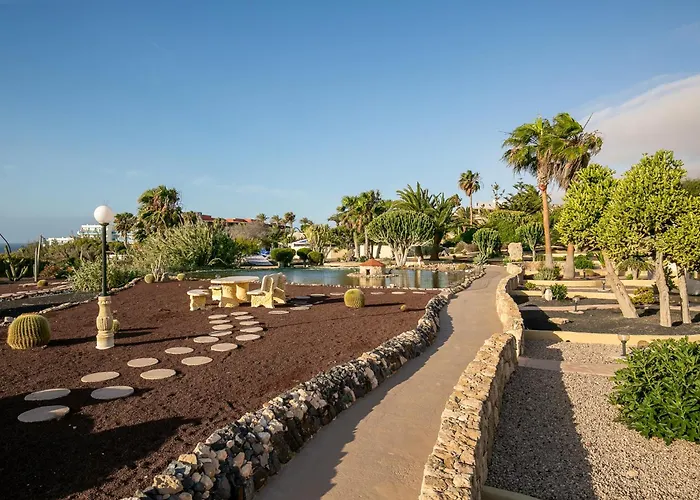 Hotell Livvo Risco Del Gato Costa Calma