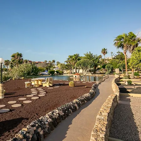 Hotell Livvo Risco Del Gato Costa Calma