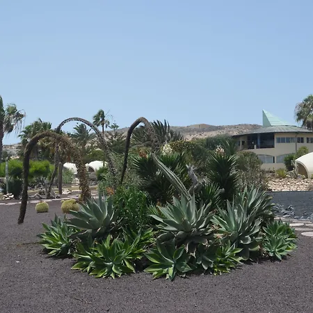 Отель Livvo Risco Del Gato 4*